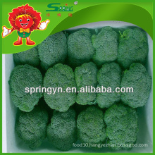 EU standard best supplier of green broccoli from Yunnan